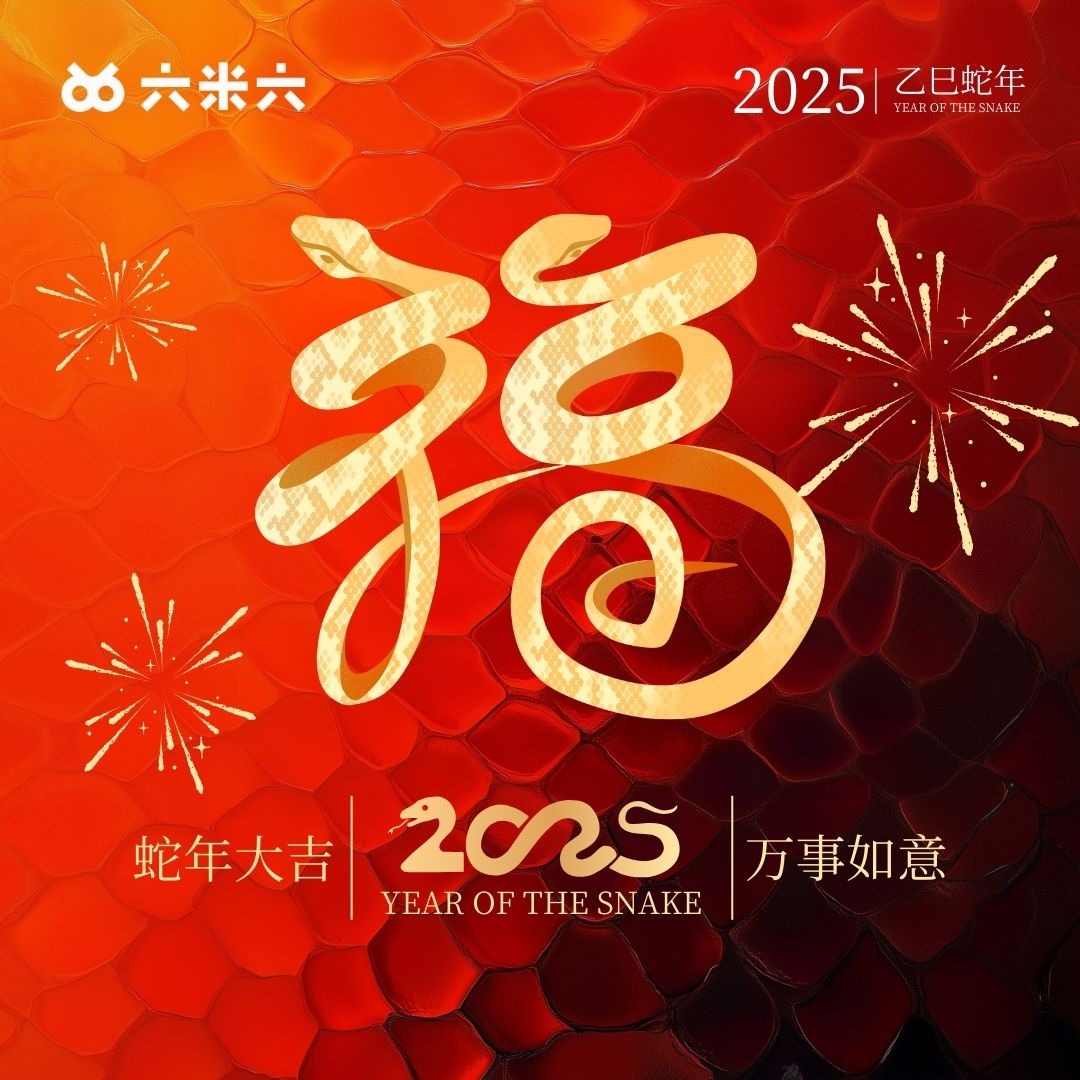 蛇年腾飞，六米六与您共创辉煌未来